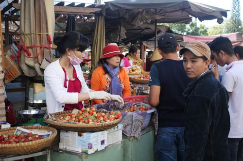 Dâu tây là đặc sản Đà Lạt được nhiều du khách ưa chuộng. Ảnh: Khánh Hương
